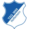 Escudo do 1899 Hoffenheim