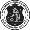Escudo do Acopiara