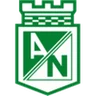 Escudo do Atletico Nacional