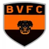 Escudo do Bela Vista TO