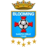 Escudo do Blooming