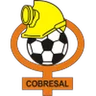 Escudo do Cobresal