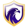 Escudo do Falcon U20