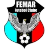 Escudo do Femar