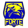 Escudo do Forte FC