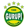 Escudo do Gurupi
