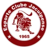Escudo do Jacuipense