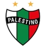 Escudo do Palestino