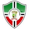 Escudo do Pinheiro