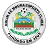 Escudo do Rolim de Moura