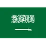 Escudo do Saudi Arabia