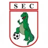 Escudo do Sousa